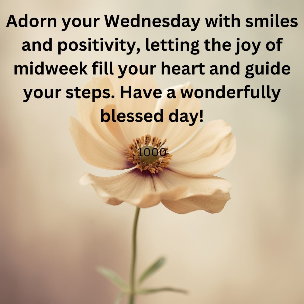 Cute Wednesday Blessings