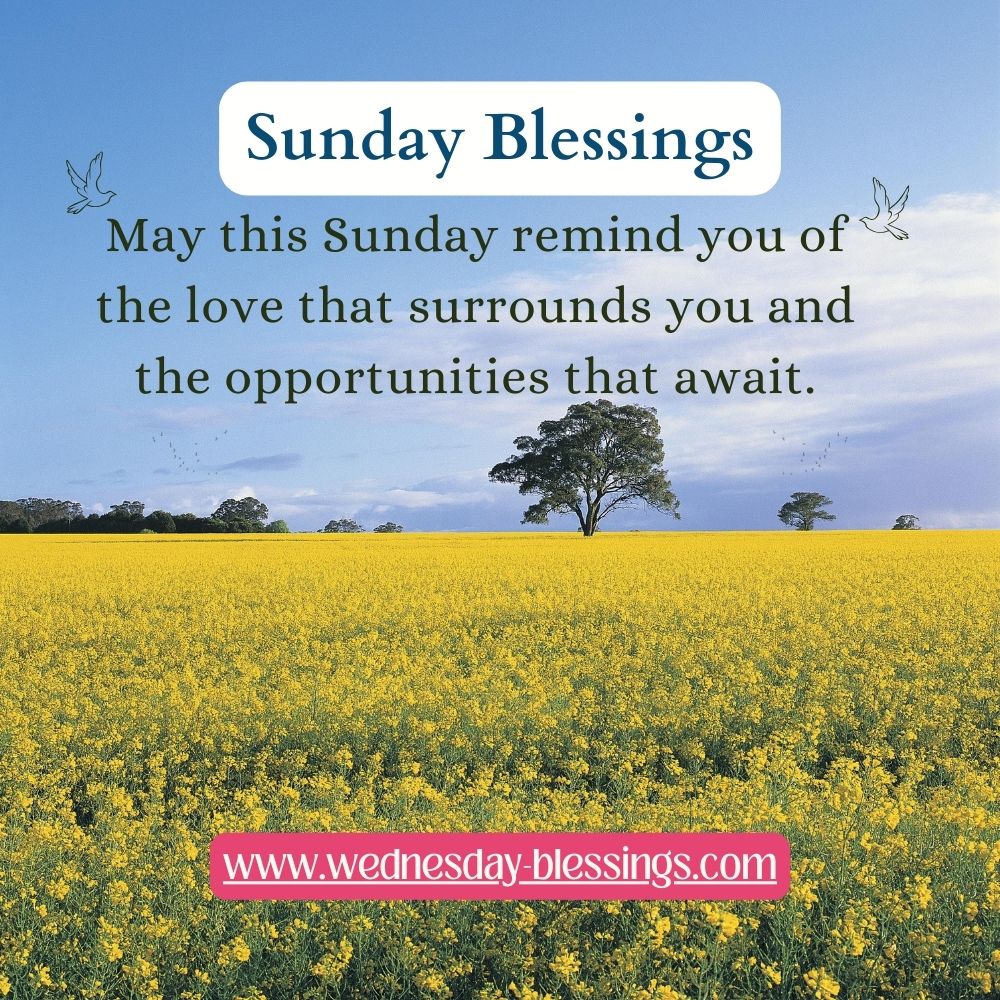 May this Sunday remind you of the love that surrounds you and the opportunities that await. Embrace the day with open arms and a grateful heart.