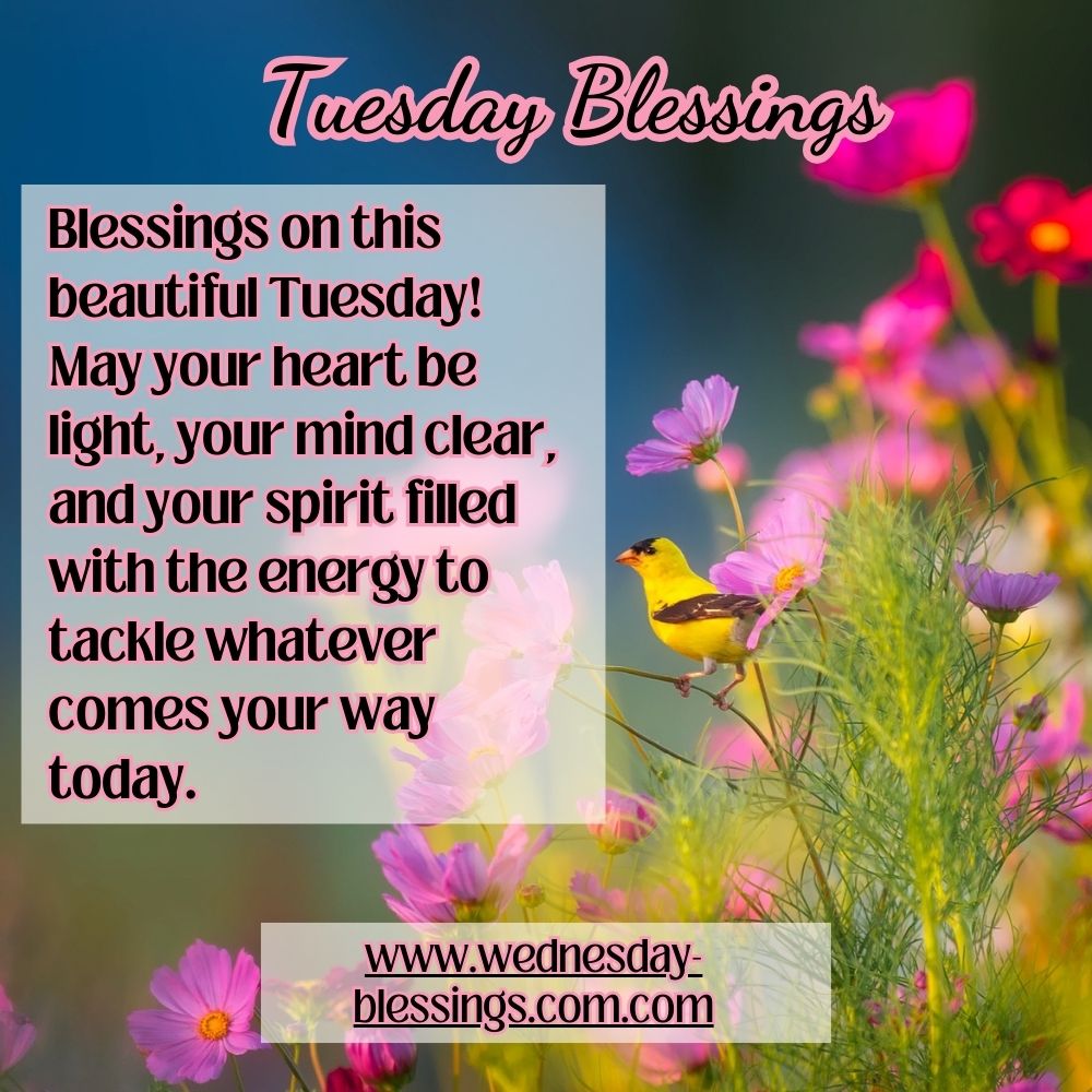 beautiful tuesday blessing quotes with flowers and humming birds 